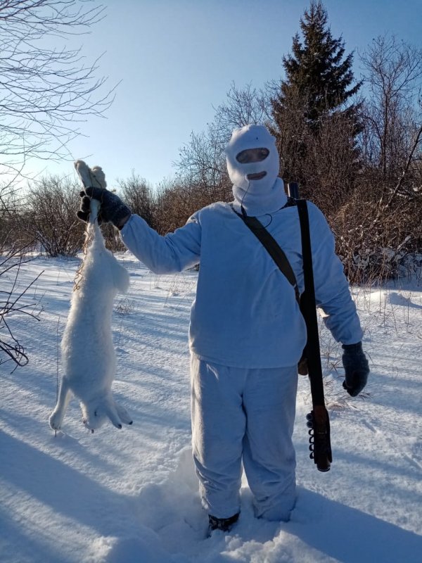 А вот и зайка