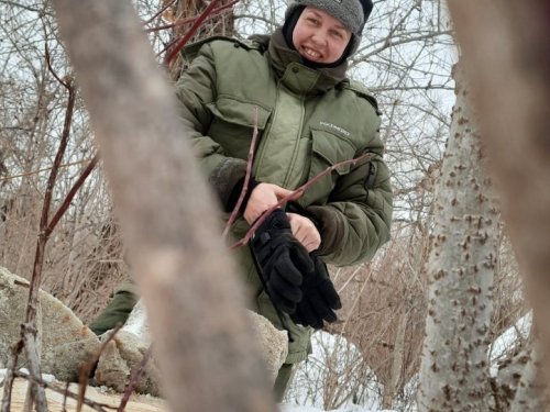 Заложили солонец