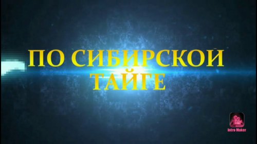 Закрываем сезон 20 21 соболя много