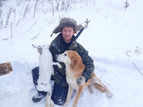 Взяли зайку