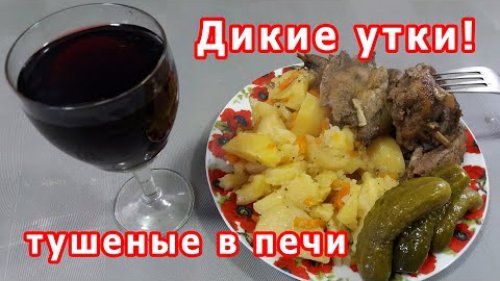 Утка тушеная в печи Как готовить дикую утку