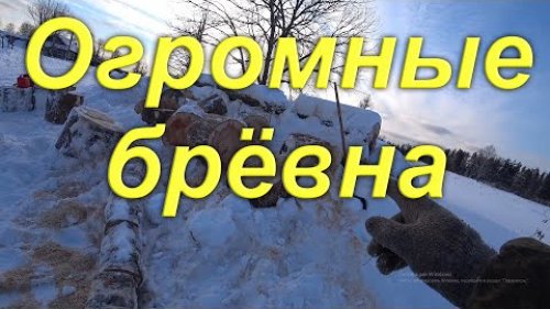 Пилю огромные брёвна на дрова. Приготовление домашнего северного кваса. Быт в заброшке.
