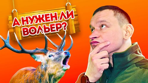 За и Против Охоты в Вольере! экология и  закон о вольерной охоте @DENDRA.RUSSIA