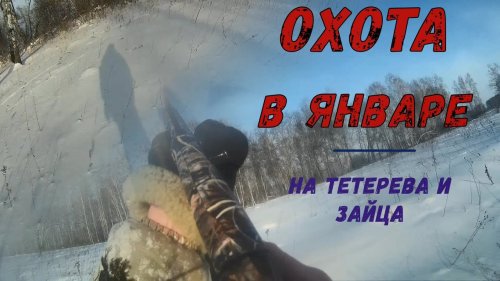 Супер охота в январе.Охота на тетерева и зайца!