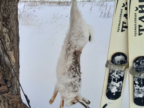 Удачно закрыл сезон!