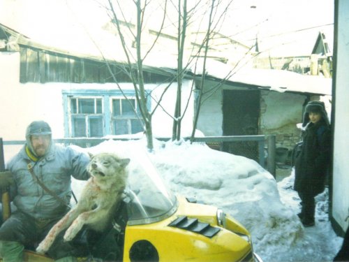 Про волка и волчью шкуру