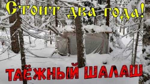 Как построить Шалаш в лесу своими руками \ Он стоит уже 2 года