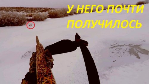 МЫ ПРОСТО В ШОКЕ!!! ЛУЧШЕЕ ОХОТА НА ЗАЙЦЕВ ЗА СЕЗОН / MAX HUNTER