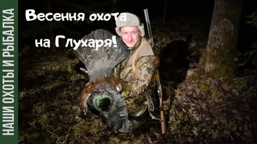 Охота на Глухаря на току! (Подслух)