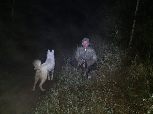 Ночью с собаками