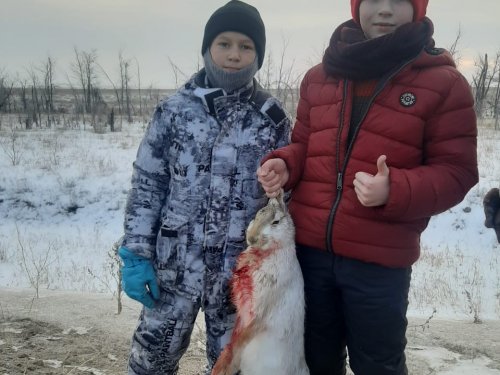 Подрастают напарники!