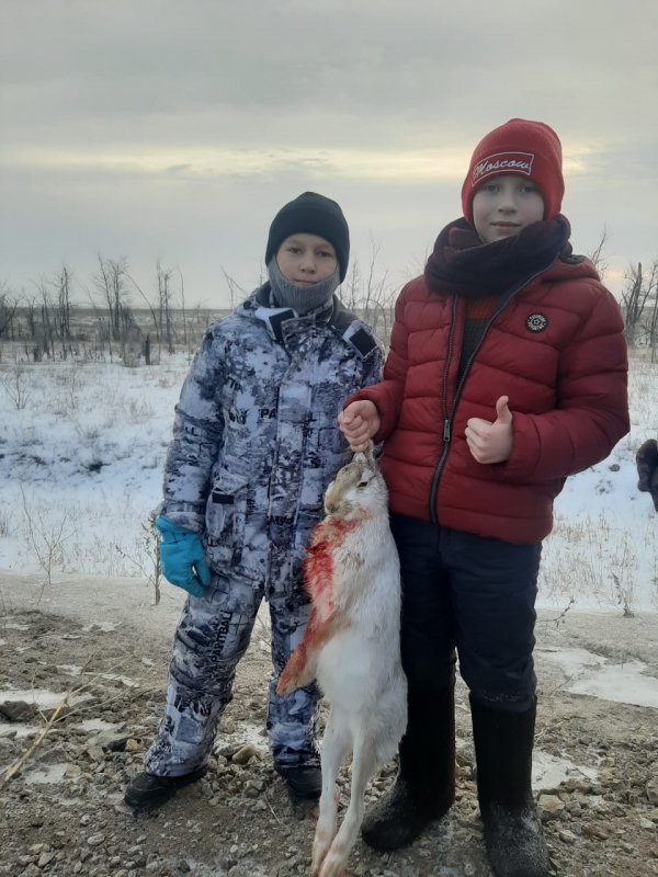 Подрастают напарники!
