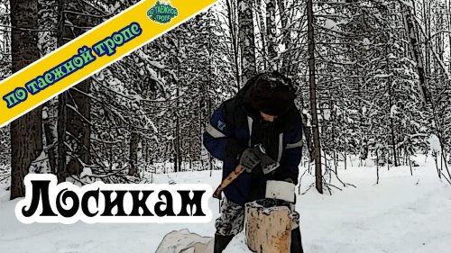 Охота. Подкормка животных. Развес соль для лосиков.