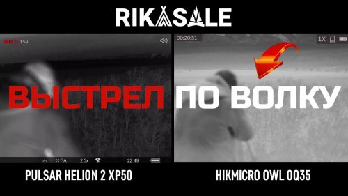 Охота на волка c тепловизорами Pulsar Helion 2 XP50 и HIKMICRO OWL OQ35