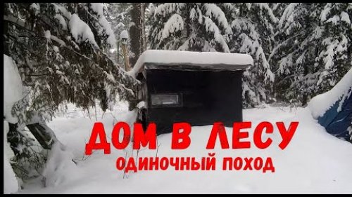 Один в лесу - мой дом в лесу заметает снегом \ Bushcraft или лесное выживание