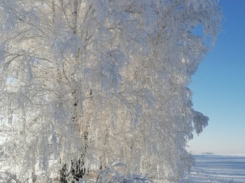 Иней