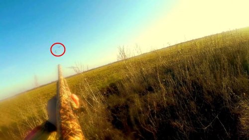 Открытие весенней охоты на гуся. Лучшая охота сезона 2020. Саратовская область / MAX HUNTER