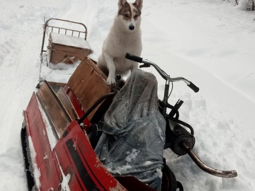 авария