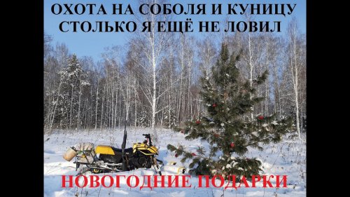 Охота на Соболя и Куницу.  СТОЛЬКО Я ЕЩЁ НЕ ЛОВИЛ.  Новогодние подарки.