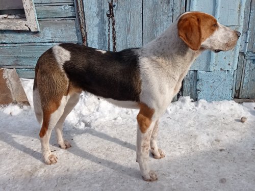 Р,п,г, залив вл.корнев в.в.