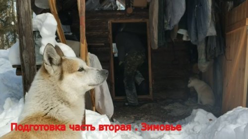 Подготовка часть вторая, Зимовье. Быт. Лайки ЗСЛ.