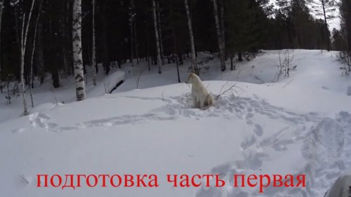Подготовка к сезону/ Заезд на земовье/ Часть первая