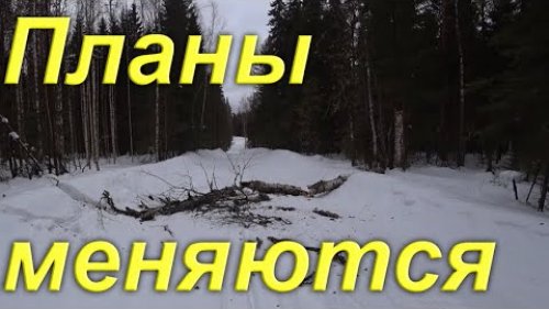 Планы меняются, возвращаюсь домой. Допиливаю затор. Уборка в таёжной избе. Жизнь в тайге Коми