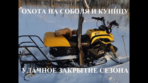 Охота на Соболя и Куницу в Сибири. УДАЧНОЕ Закрытие.