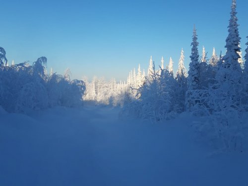 Весна однако)))
