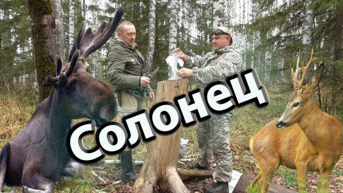 Солонцы.Привада для лося и косуль.Таежные приключения