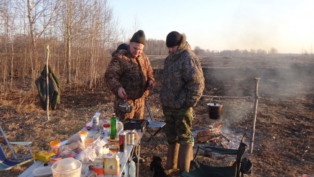 чаек после утрянки))