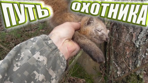 СИБИРСКИЙ ТАЕЖНЫЙ КОТ Охота на соболя новый сезон 2020 - 2021.Проверка капканов