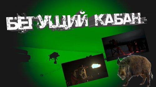 Бегущий кабан!!!