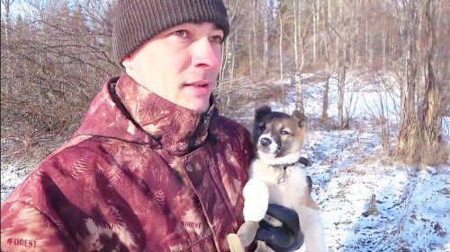 ТАКАЯ МАЛЕНЬКАЯ, А УЖЕ НЮХТИТ ПО ВЗРОСЛОМУ. ИДЁМ С СОБАКОЙ ЗА АЛЬХОЙ ДЛЯ КОПЧЕНИЯ РЫБЫ.