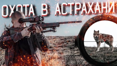 Волки напали на жербёнка! Удачная охота на волка в АСТРАХАНИ