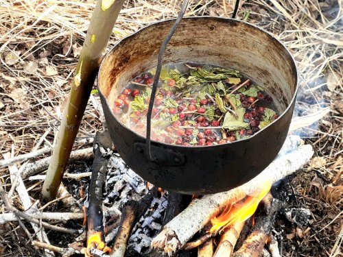 Лесной чаёк на костре....