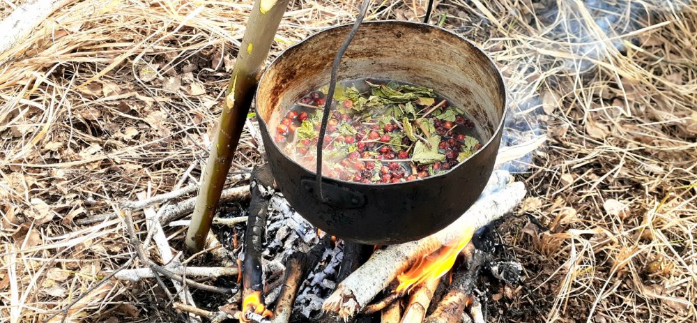 Лесной чаёк на костре....