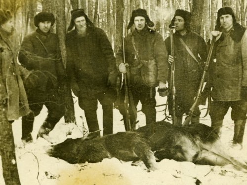 Последняя охота.