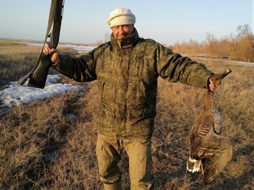 Алейский гусь