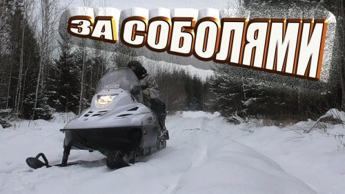 Один в тайгу на промысел.Охота на соболя капканами сезон 2020