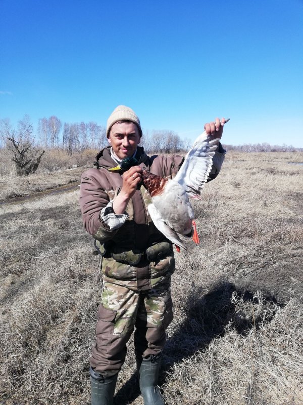 В день по крякашу)