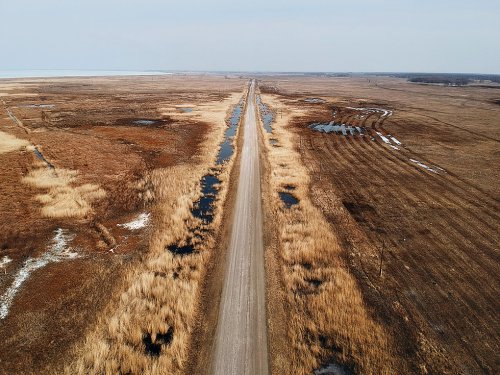 В поисках селезней