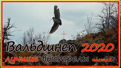 Охота на вальдшнепа в горном Крыму. Лучшие выстрелы сезона 2021, записанные shotkam