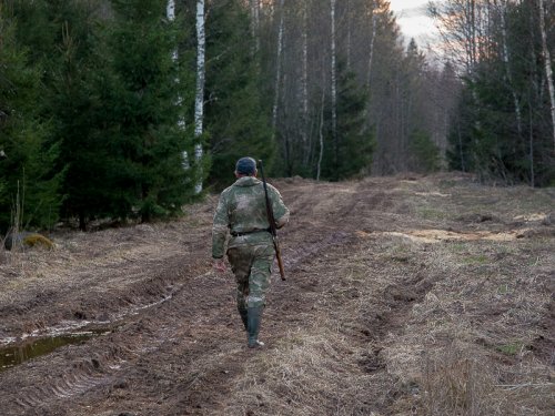 Товарищ по охоте.