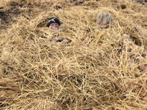 В ожидании гуся!