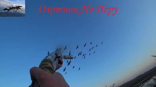 Охота на гуся 2021 "Супер вечерка"