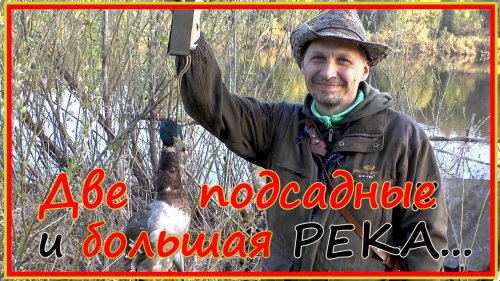 Весенняя охота с подсадными на Западной Двине