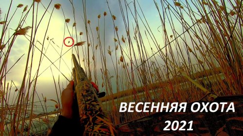 весенняя охота на селезня 2021!!! Правильное место - залог успеха!!! / MAX HUNTER