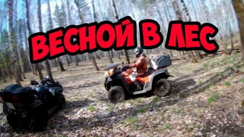 Промысел. везем зерно в кормушки.СТЕЛС 600 GT..CF MOTO X8