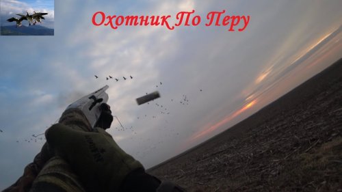 Охота на гуся 2021 "Лучший сезон"